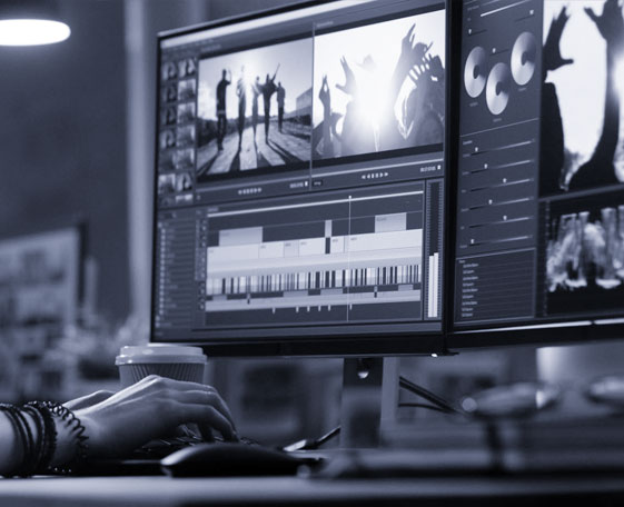 Envato Web Design